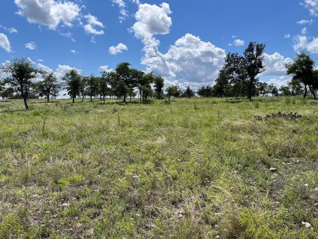 10.1 acres in Gillespie County - photo 9