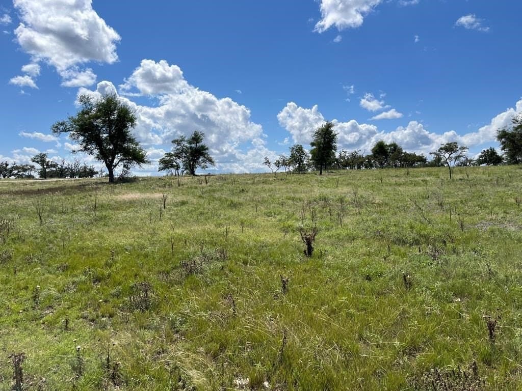10.1 acres in Gillespie County - photo 10