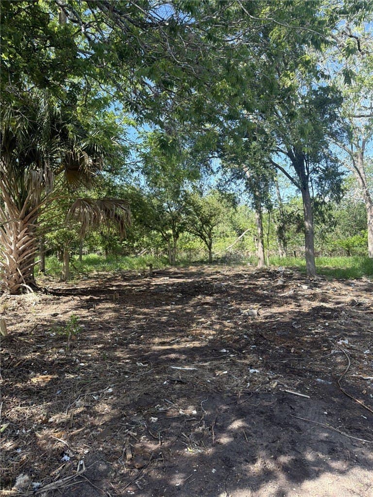 1.9 acres in Nueces County gallery image 4