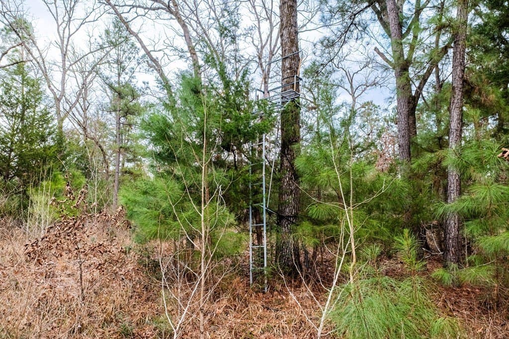 41.63 acres in ANDERSON County - photo 46