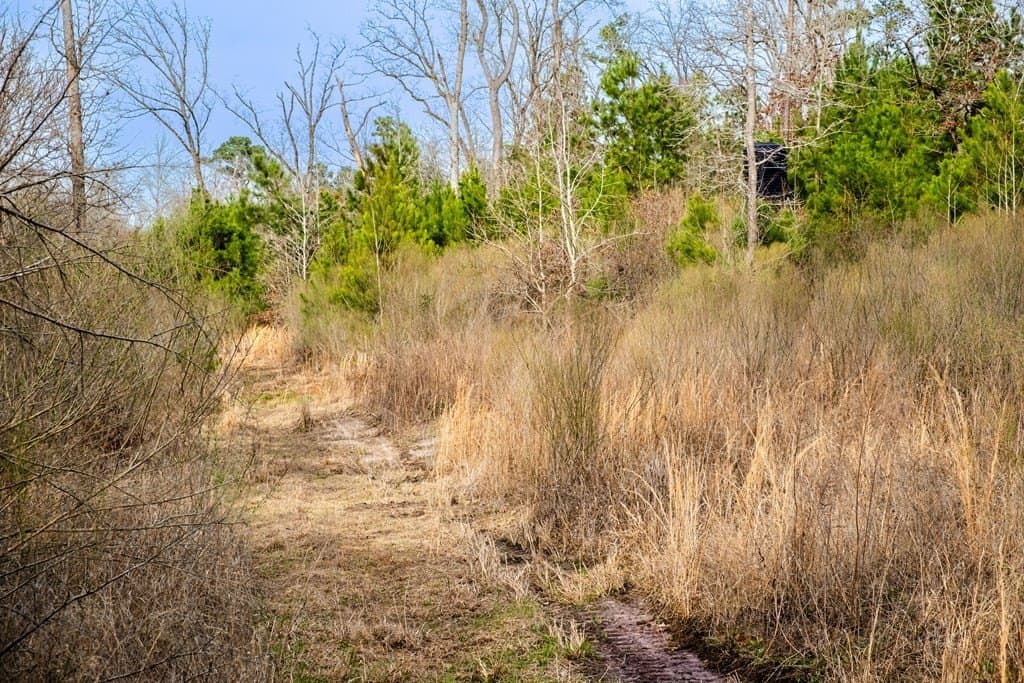 41.63 acres in ANDERSON County - photo 47
