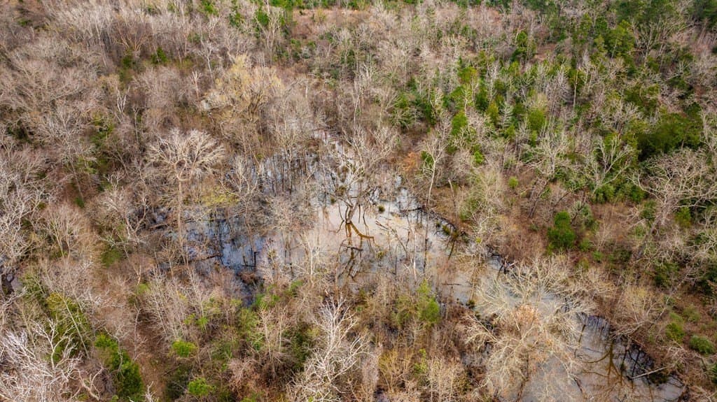 41.63 acres in ANDERSON County - photo 38