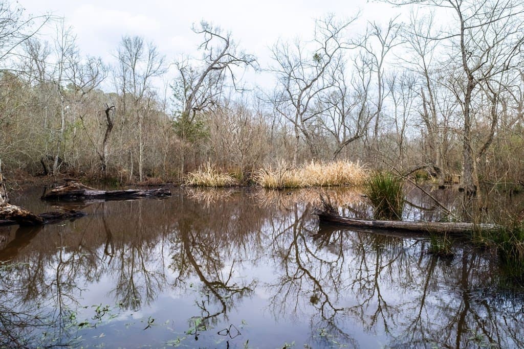 41.63 acres in ANDERSON County - photo 36