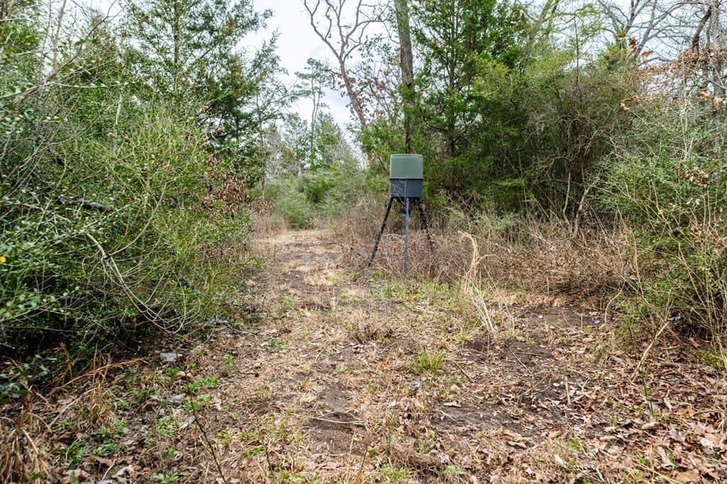 41.63 acres in ANDERSON County - photo 43