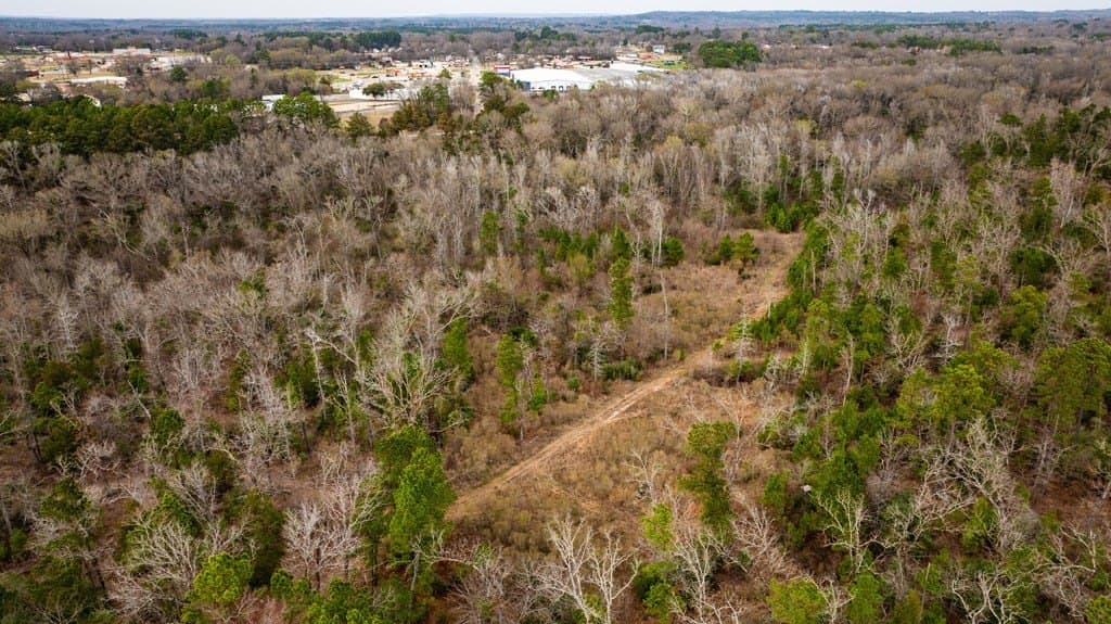 41.63 acres in ANDERSON County - photo 42