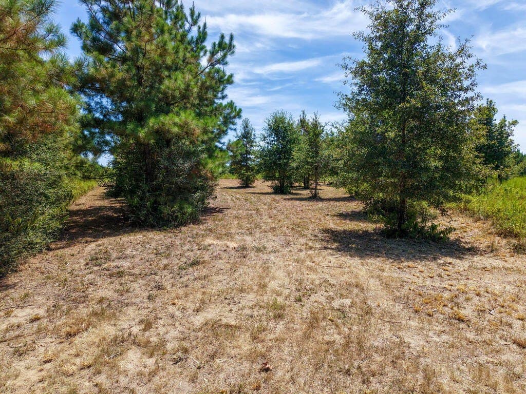 10 acres in Texas County - photo 8