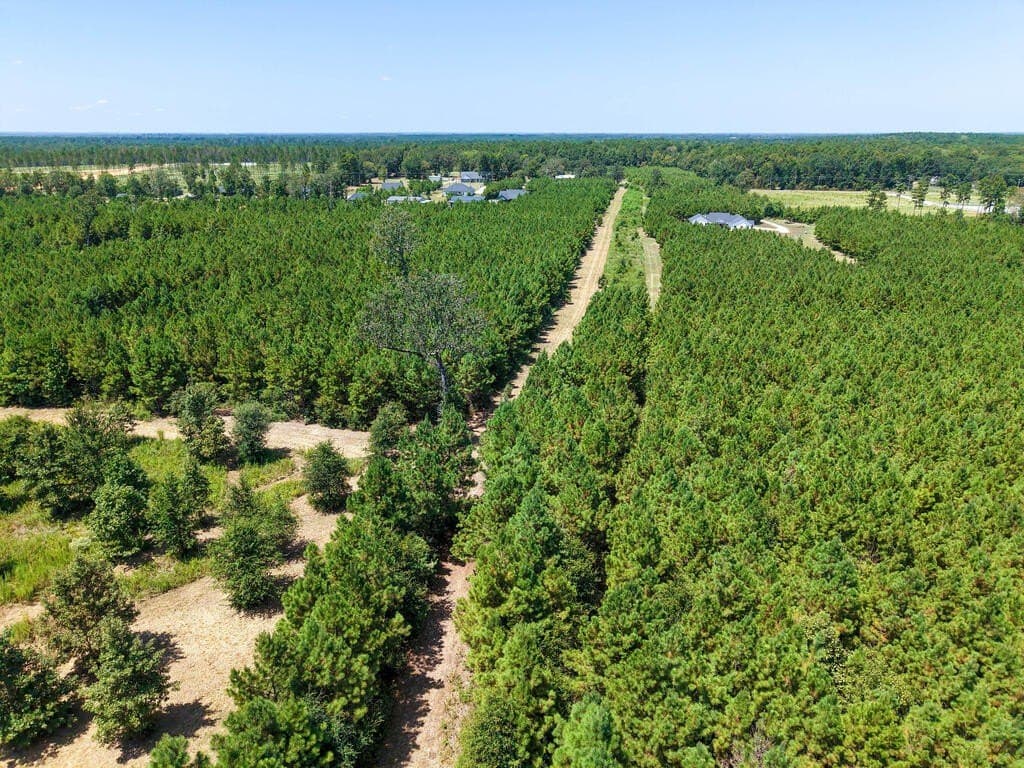 10 acres in Texas County - photo 5