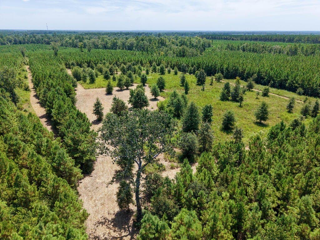 10 acres in Texas County