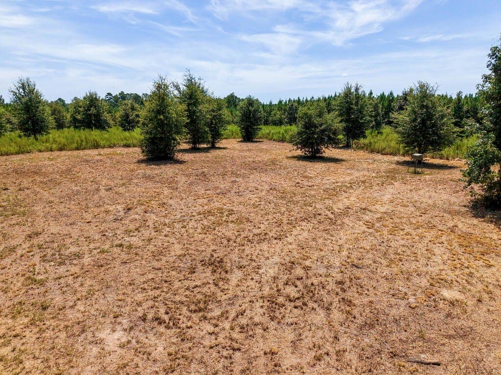 10 acres in Texas County - photo 7