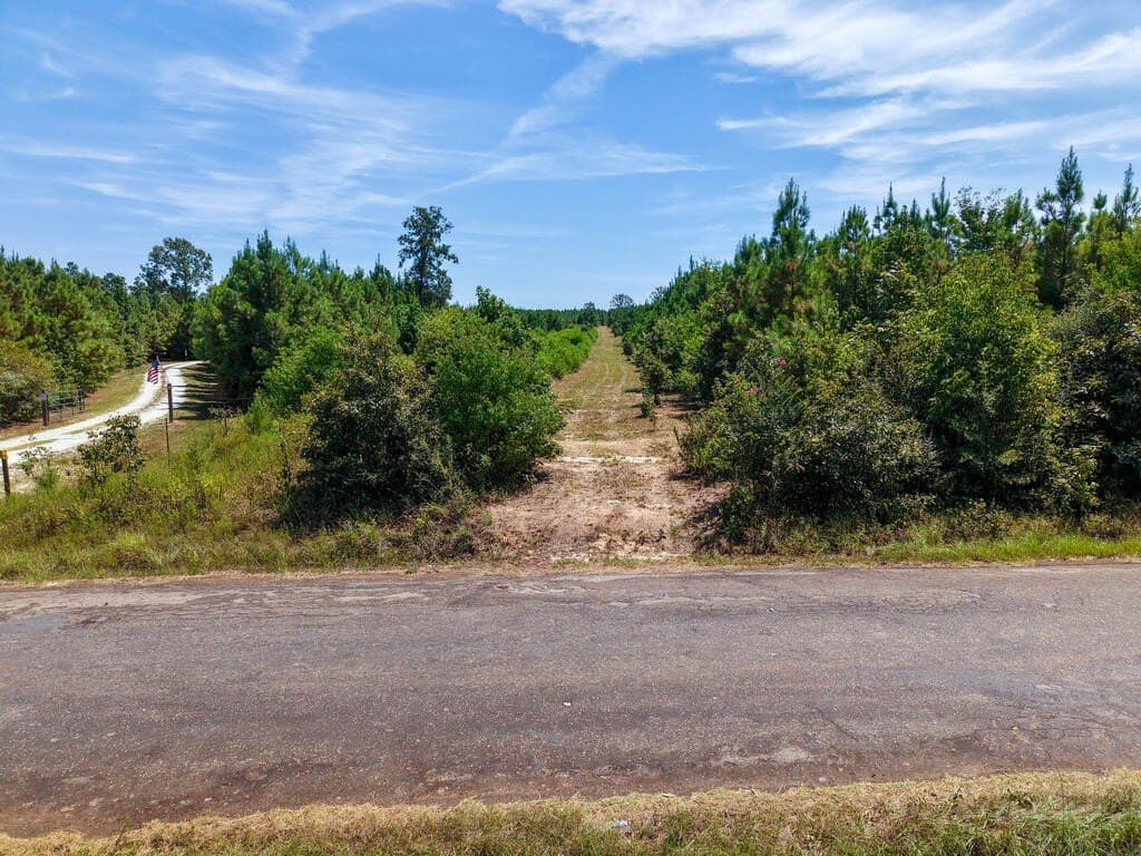 10 acres in Texas County - photo 3