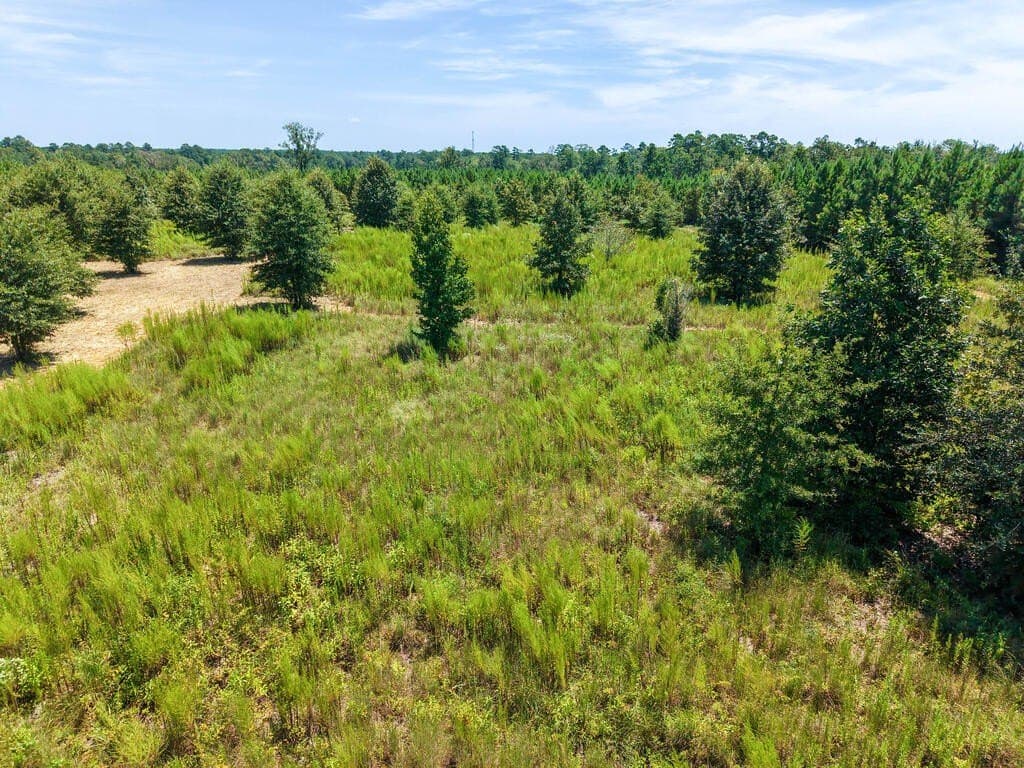 10 acres in Texas County - photo 9