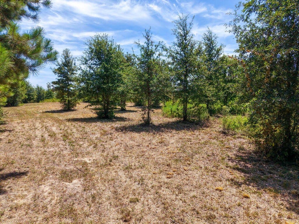 10 acres in Texas County - photo 13