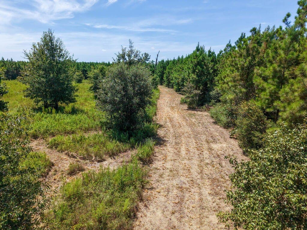 10 acres in Texas County - photo 12