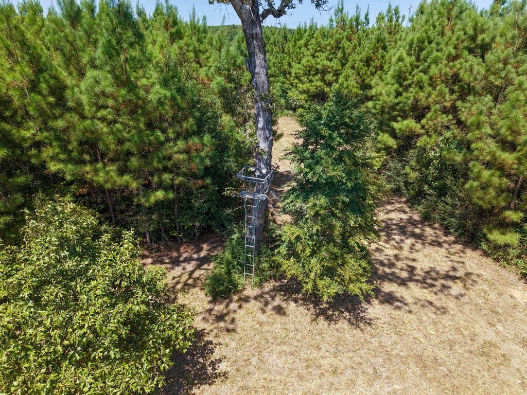 10 acres in Texas County - photo 11