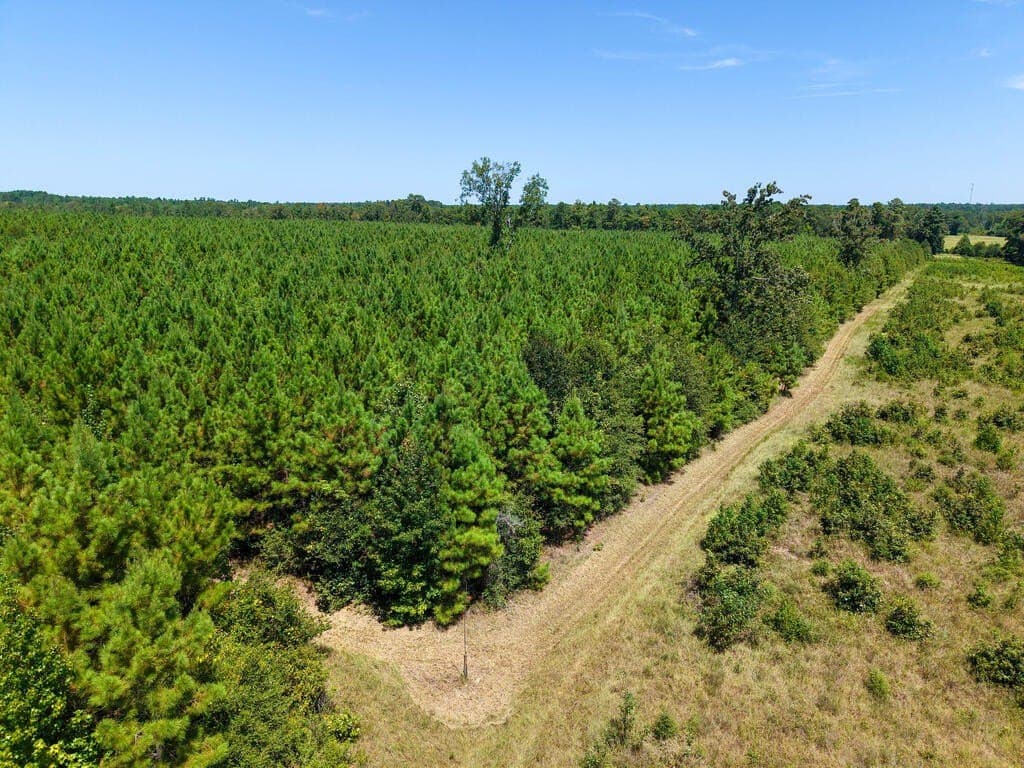 10 acres in Texas County - photo 6