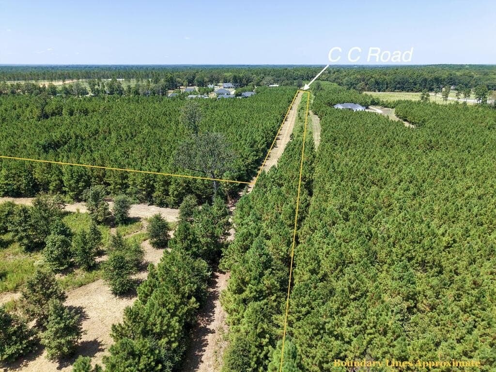 10 acres in Texas County - photo 4