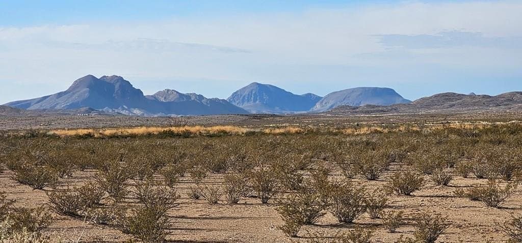 5 acres in Brewster County