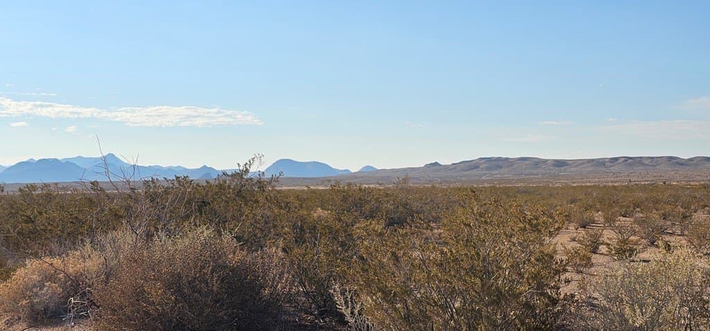 5 acres in Brewster County - photo 12