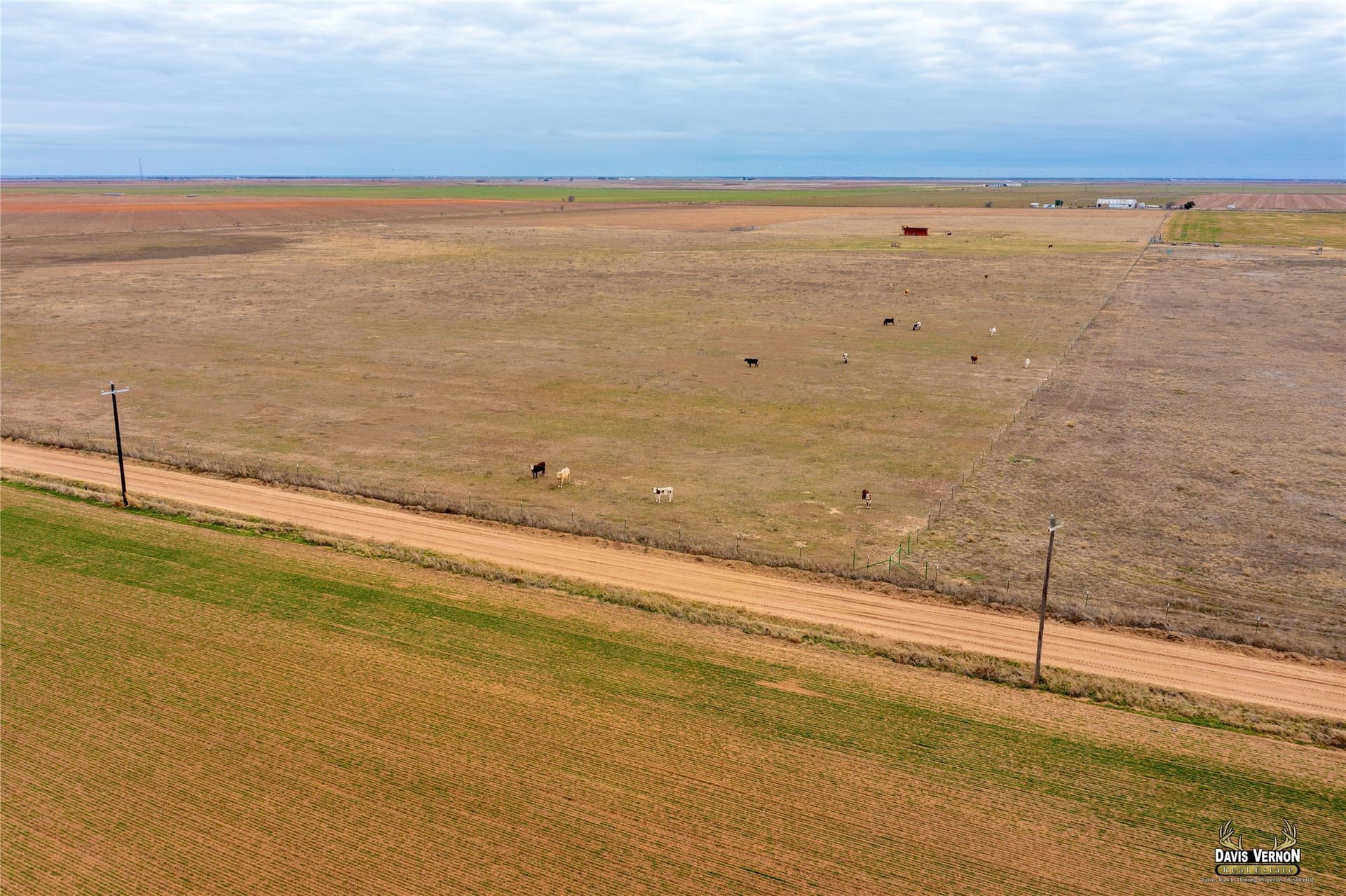 40 acres in Knox County - photo 3