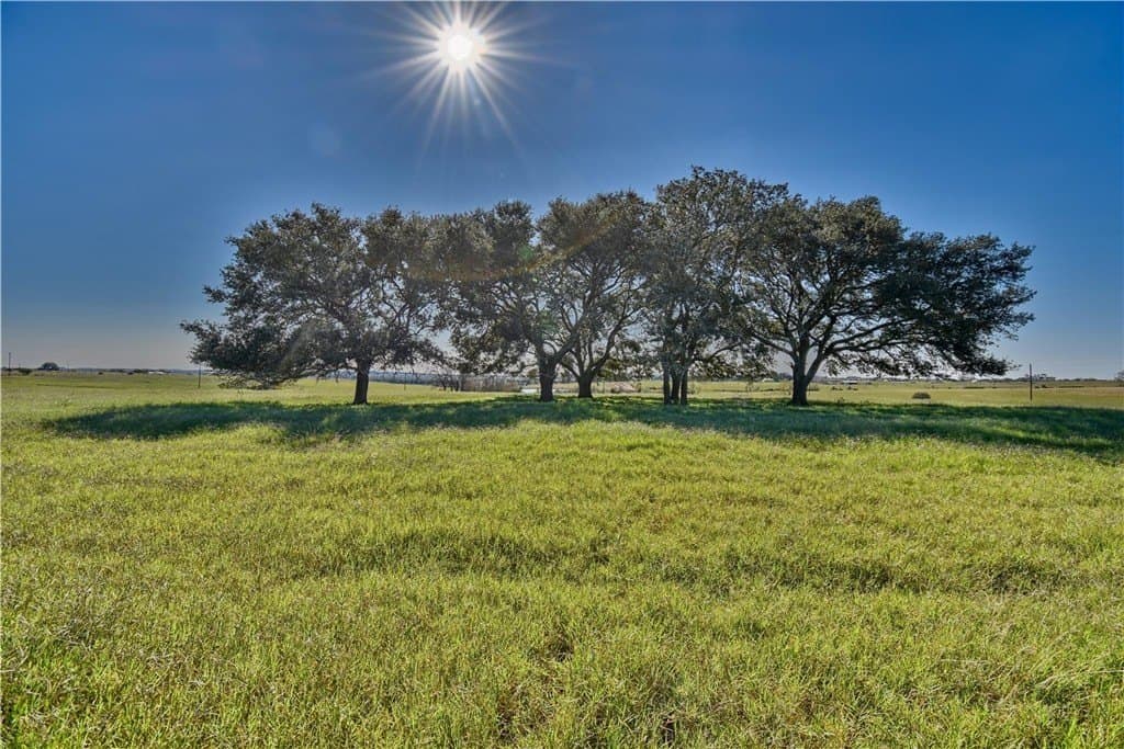 18.37 acres in AUSTIN County - photo 2
