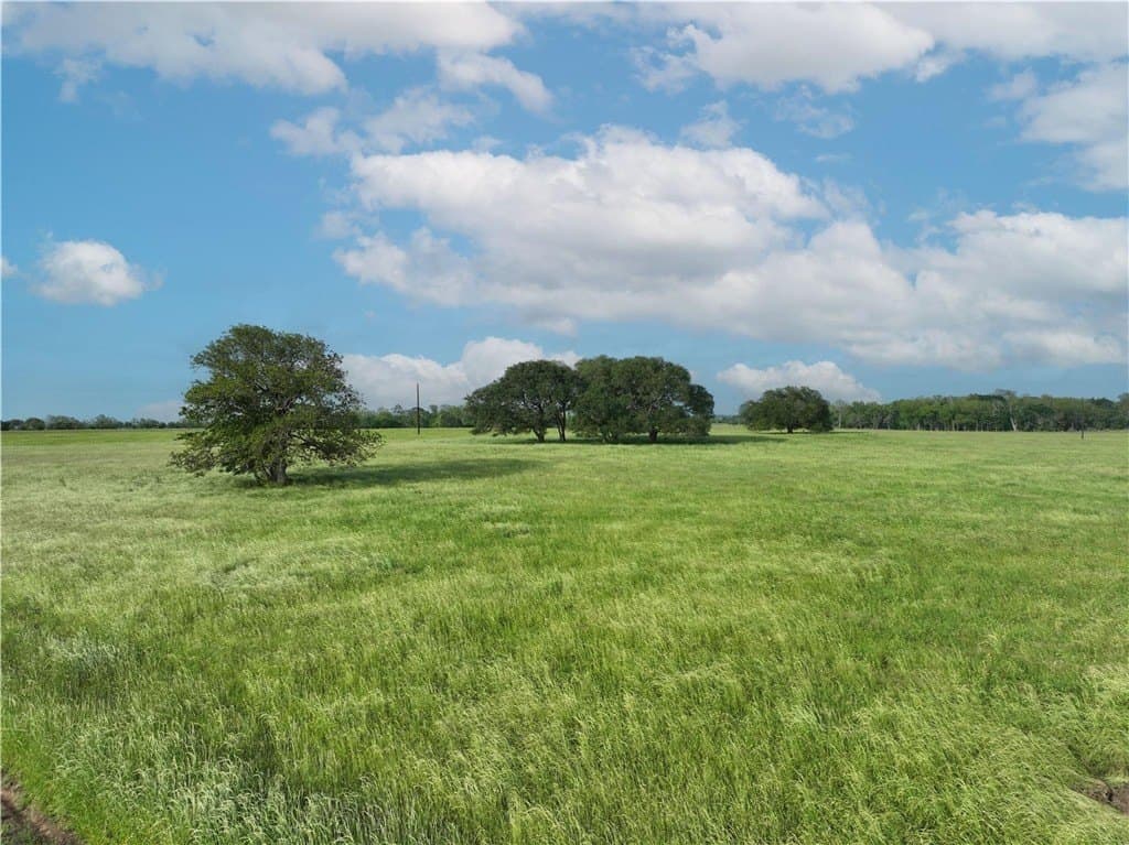 18.37 acres in AUSTIN County - photo 4
