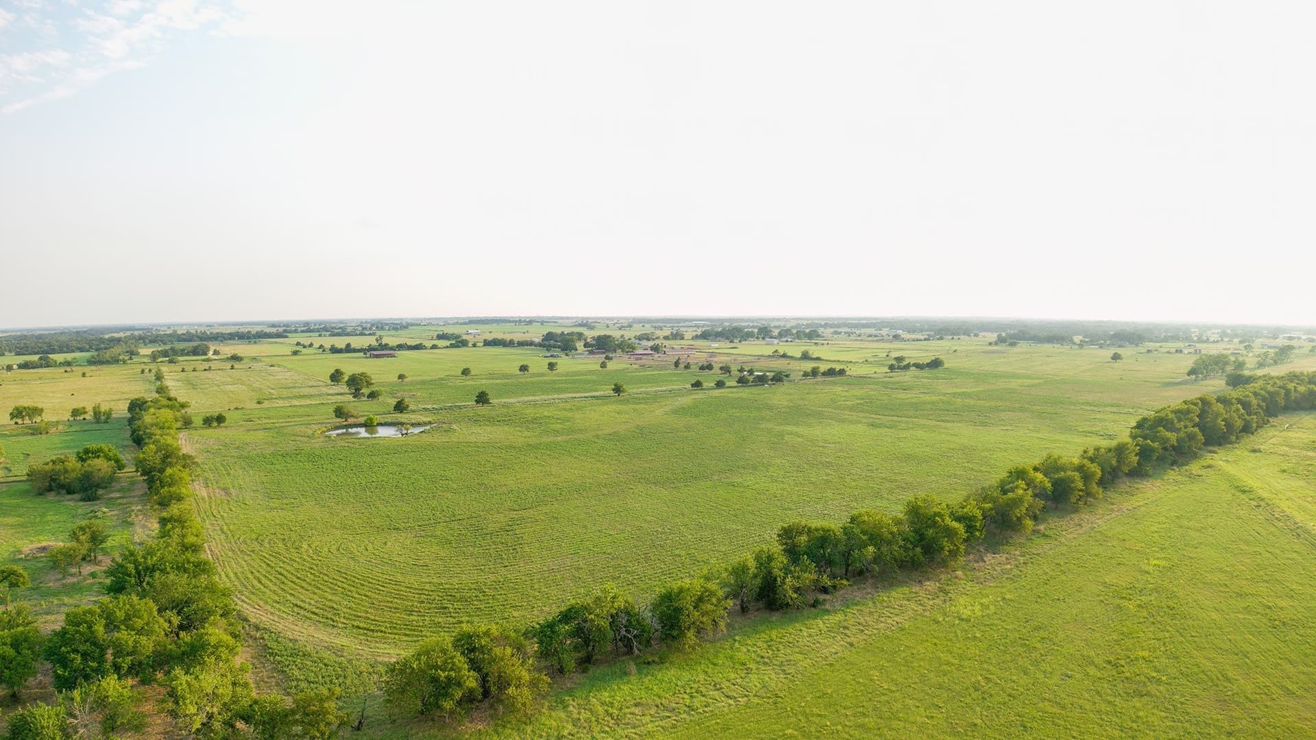 87.25 acres in Grayson County - photo 24
