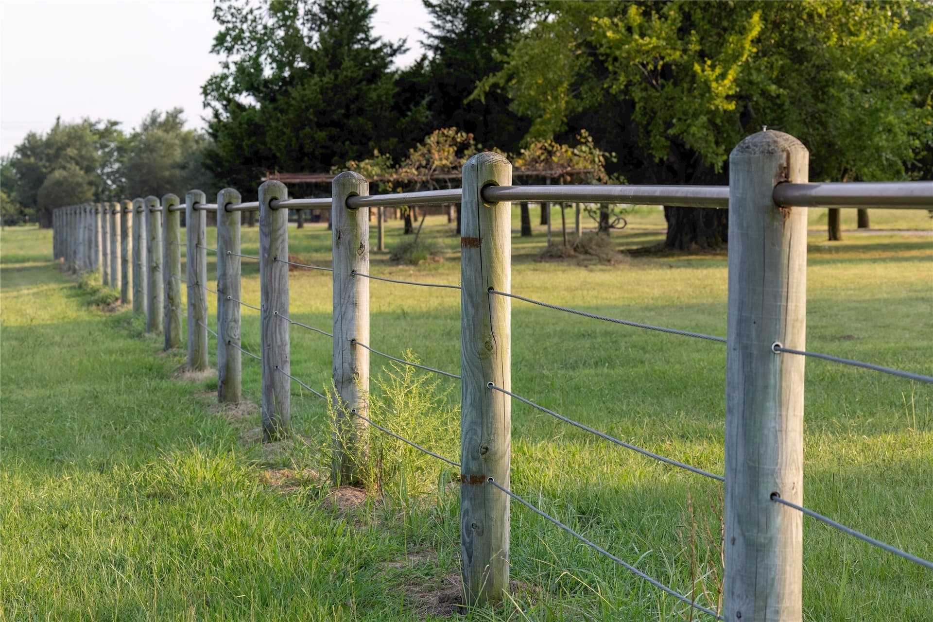 87.25 acres in Grayson County - photo 18