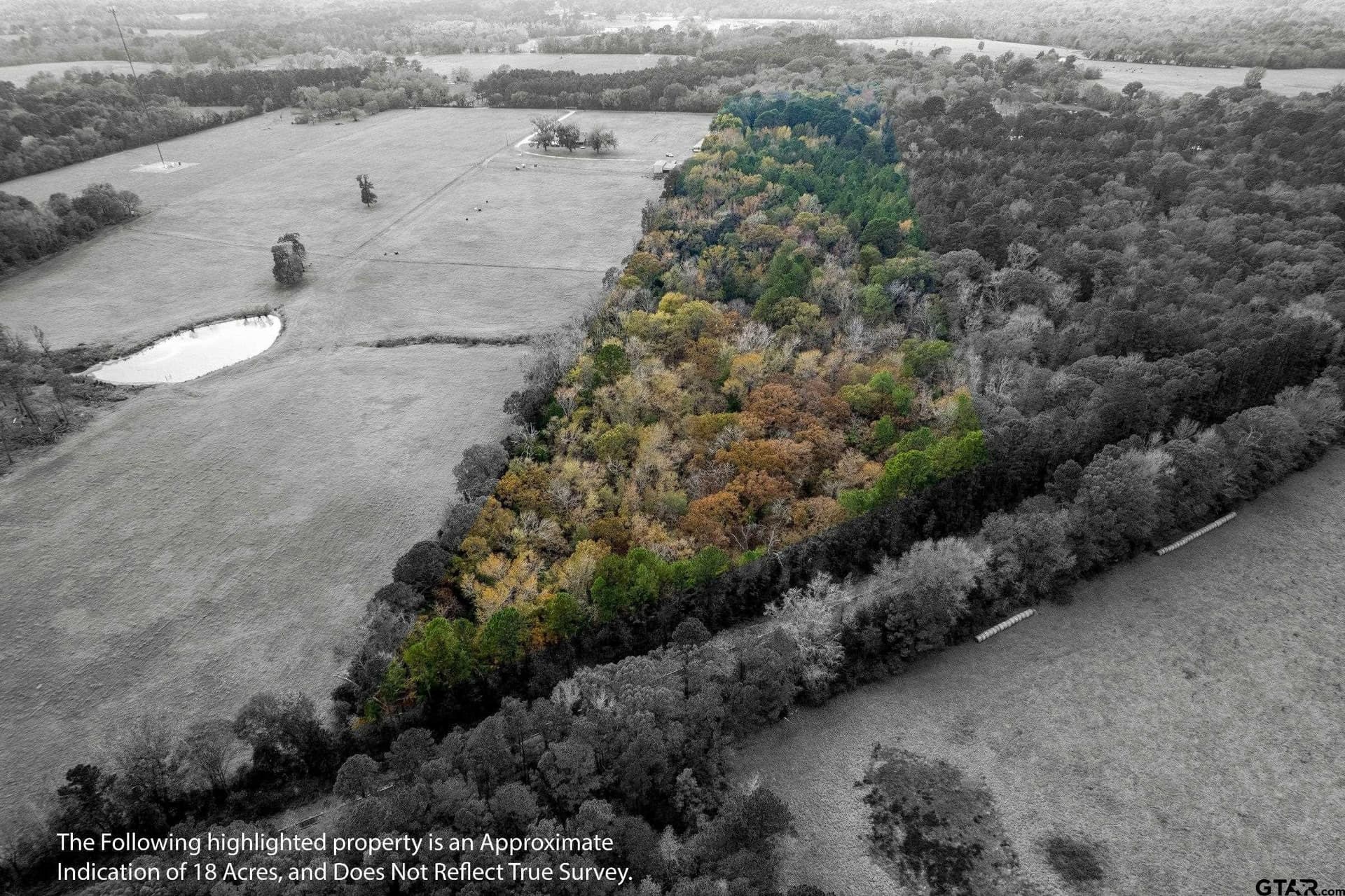 18.21 acres in Anderson County gallery image 2