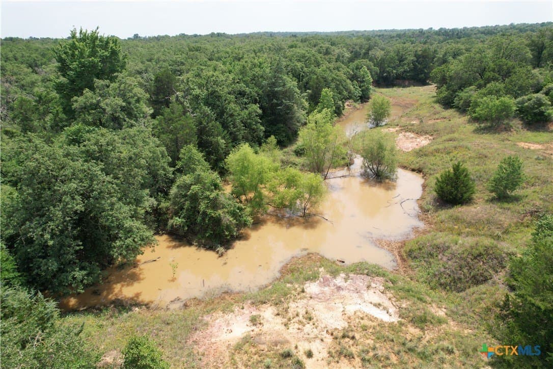 30.43 acres in Milam County - photo 6