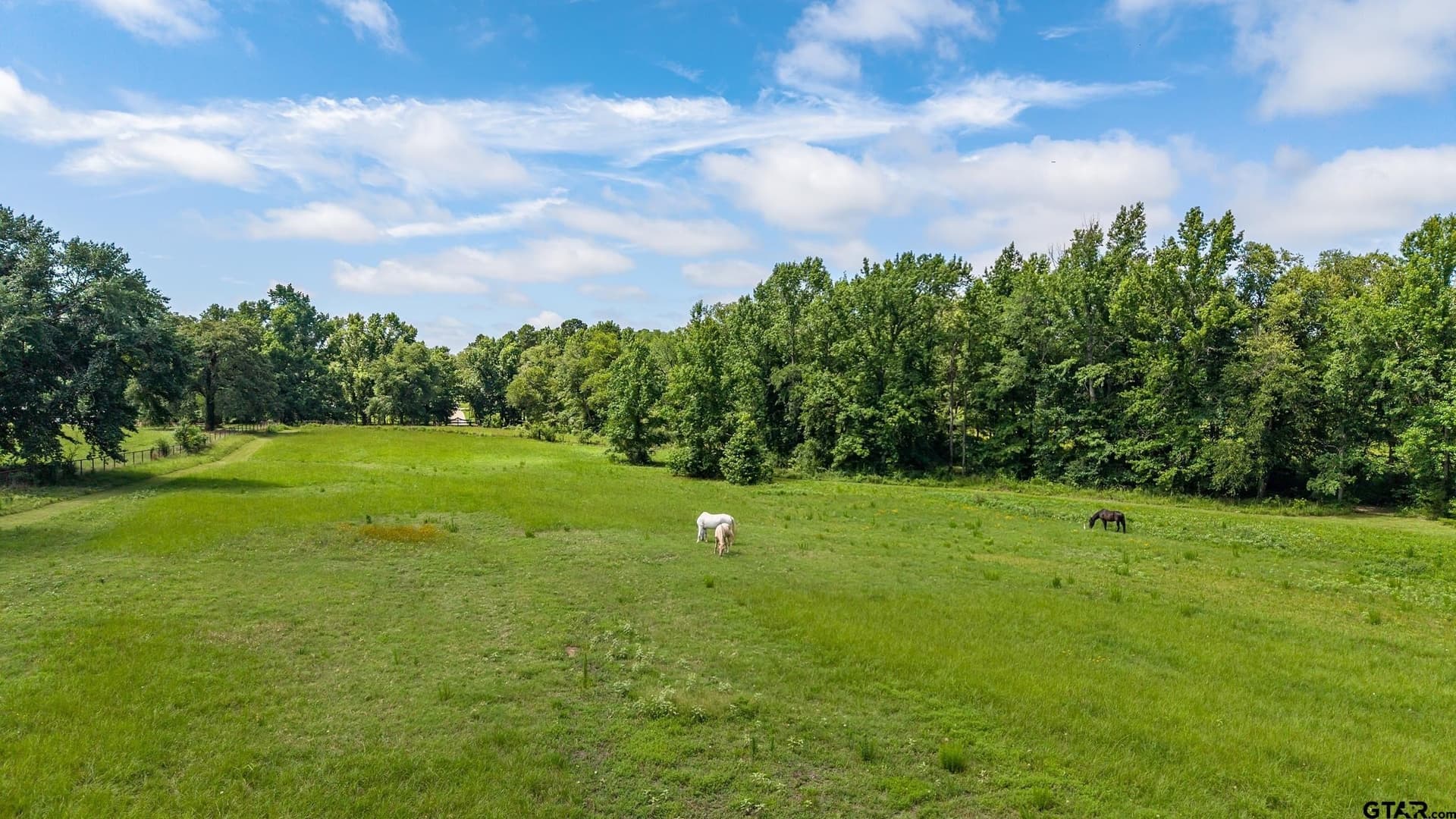 20.65 acres in Smith County - photo 14