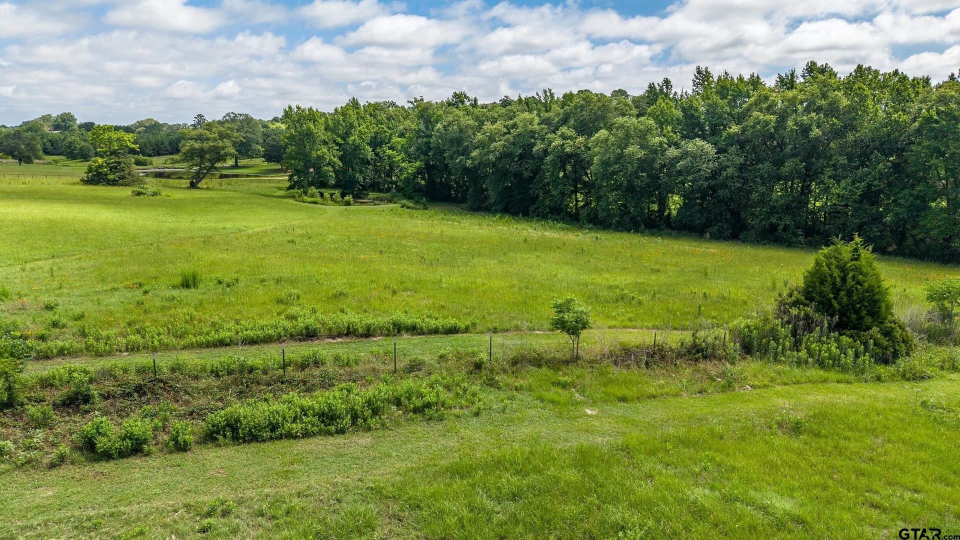 20.65 acres in Smith County - photo 10