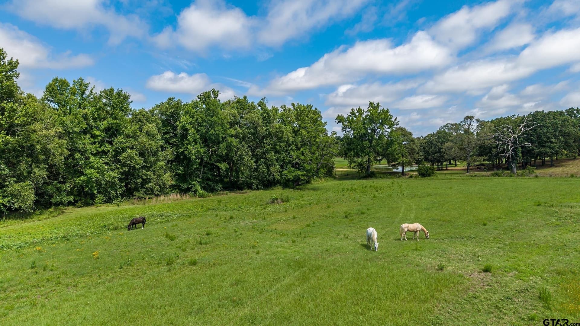 20.65 acres in Smith County - photo 16