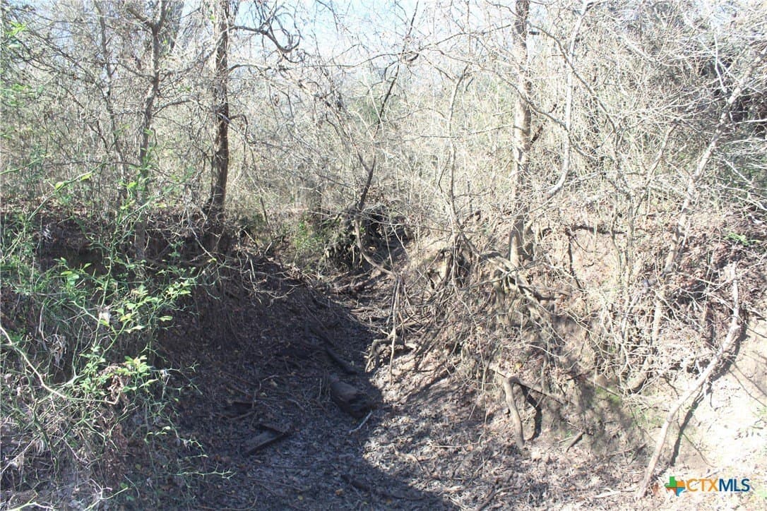 100 acres in Lee County - photo 11