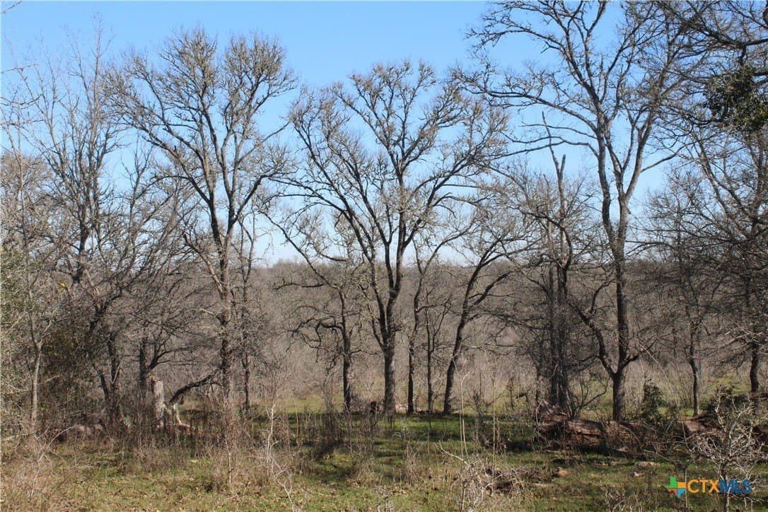 100 acres in Lee County - photo 9
