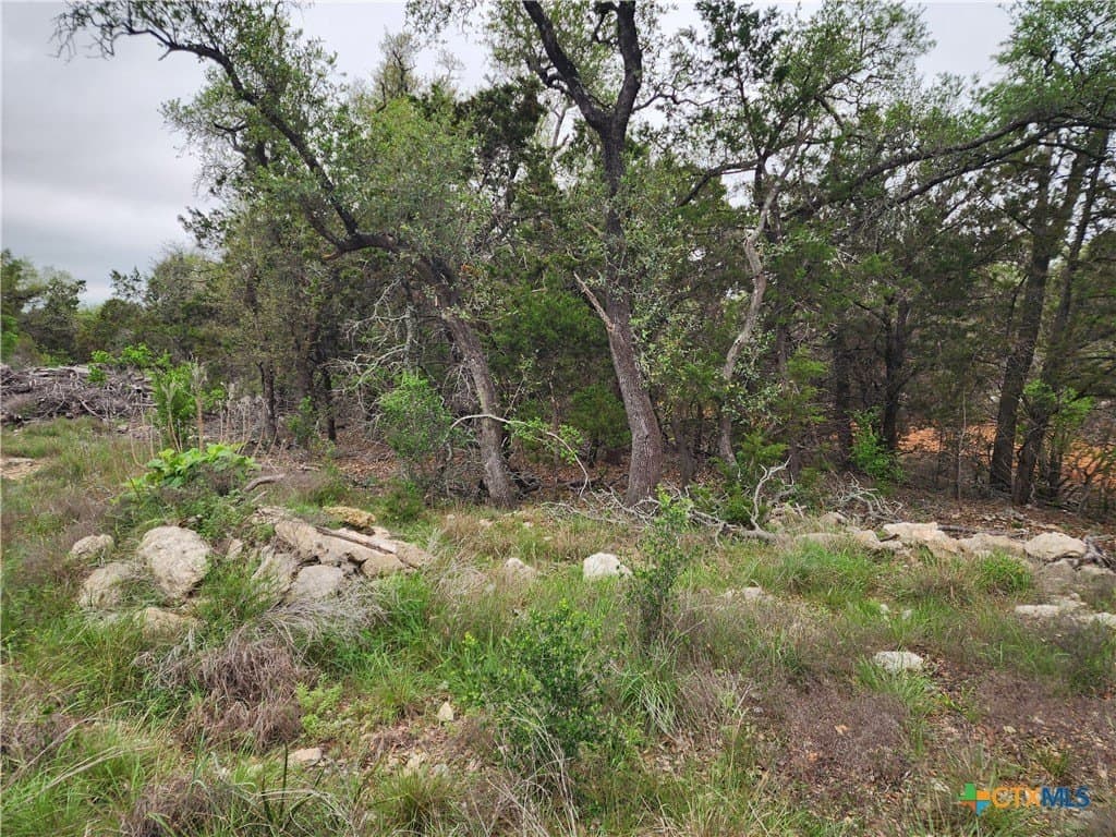 1.01 acres in Comal County gallery image 3
