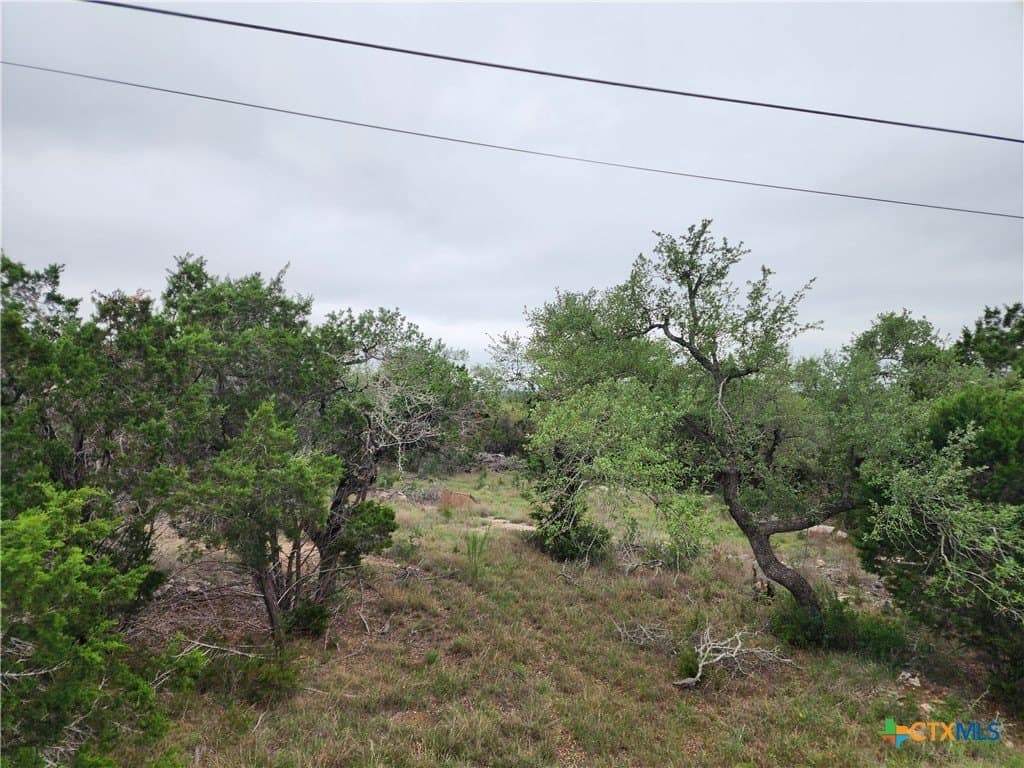 1.01 acres in Comal County gallery image 4