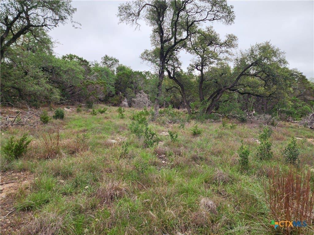 1.01 acres in Comal County gallery image 2