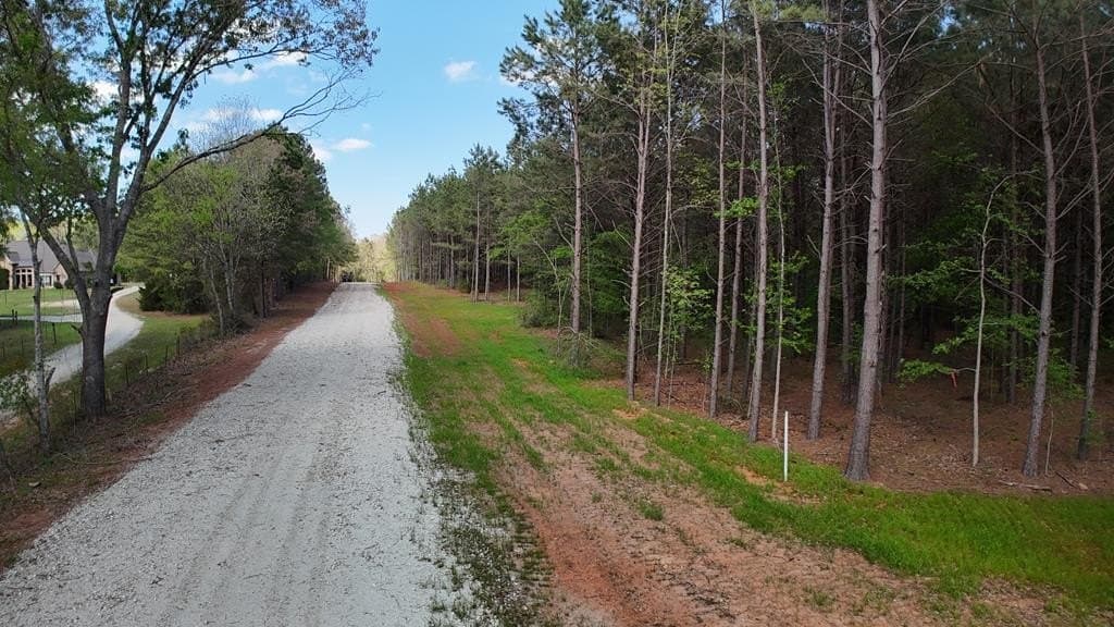 9.62 acres in Texas County - photo 6