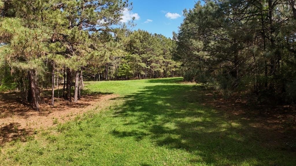 9.62 acres in Texas County - photo 10