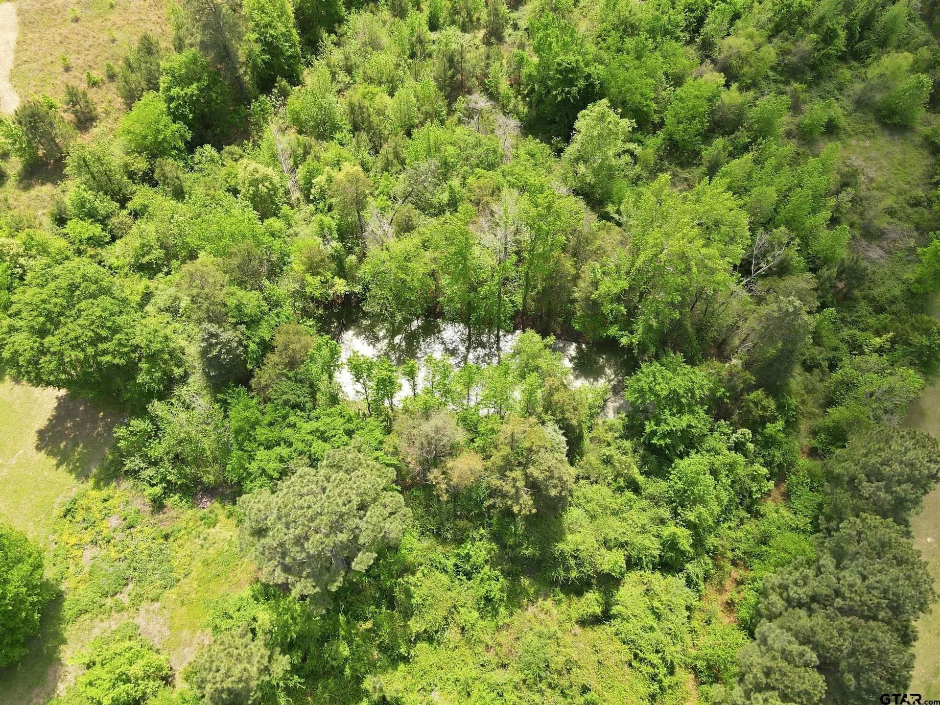 14 acres in Camp County gallery image 3