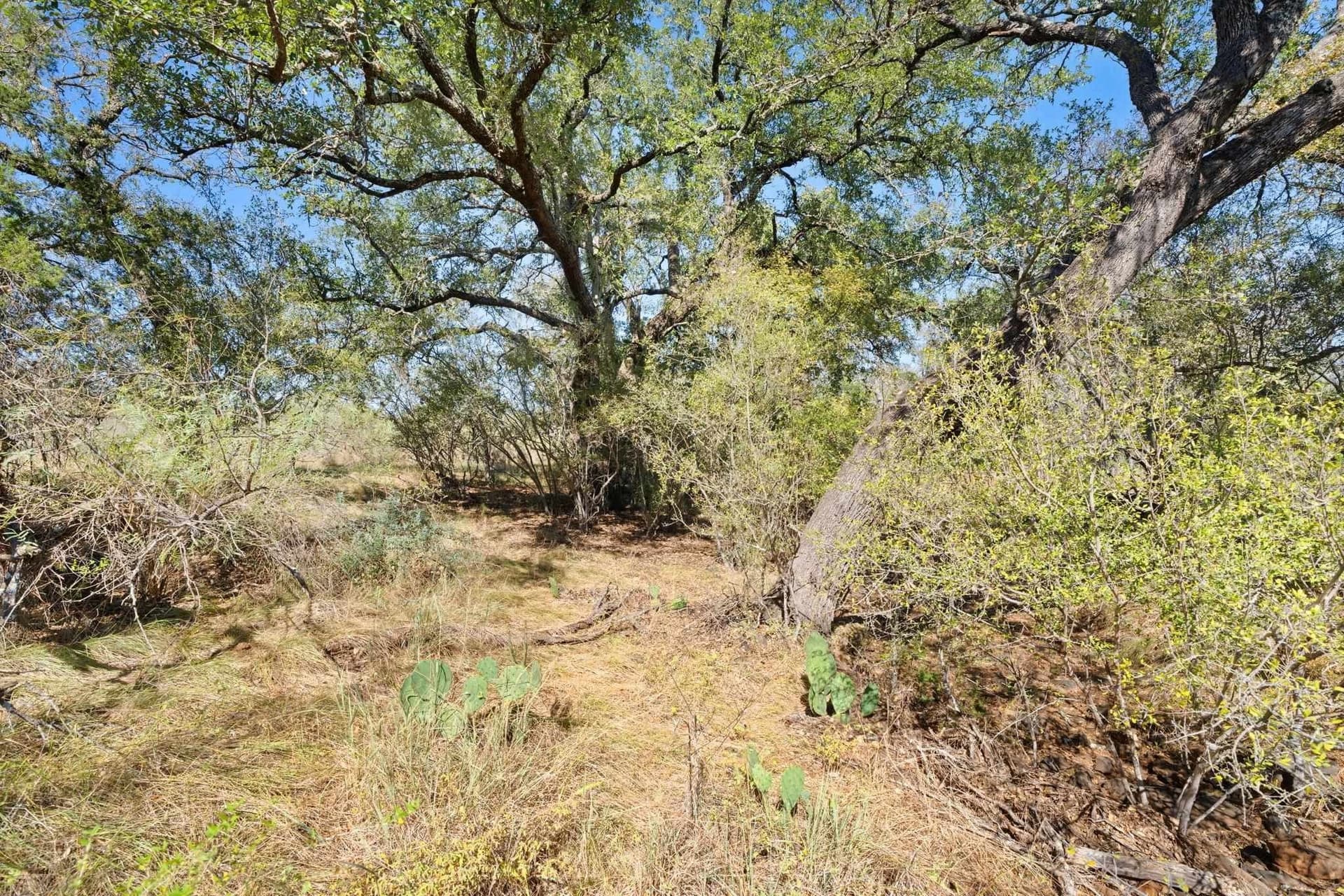 6.12 acres in Llano County - photo 23