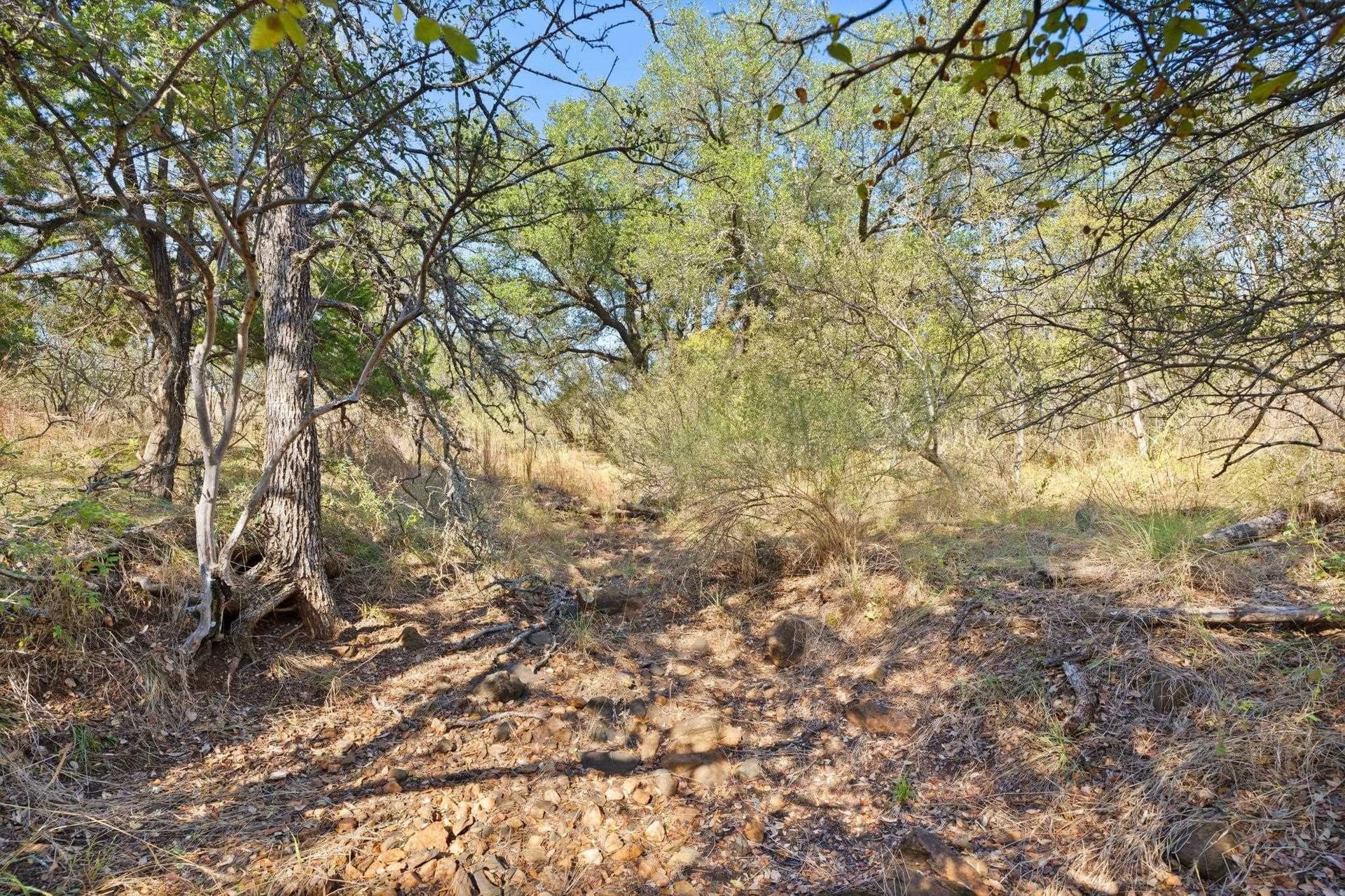 6.12 acres in Llano County - photo 22