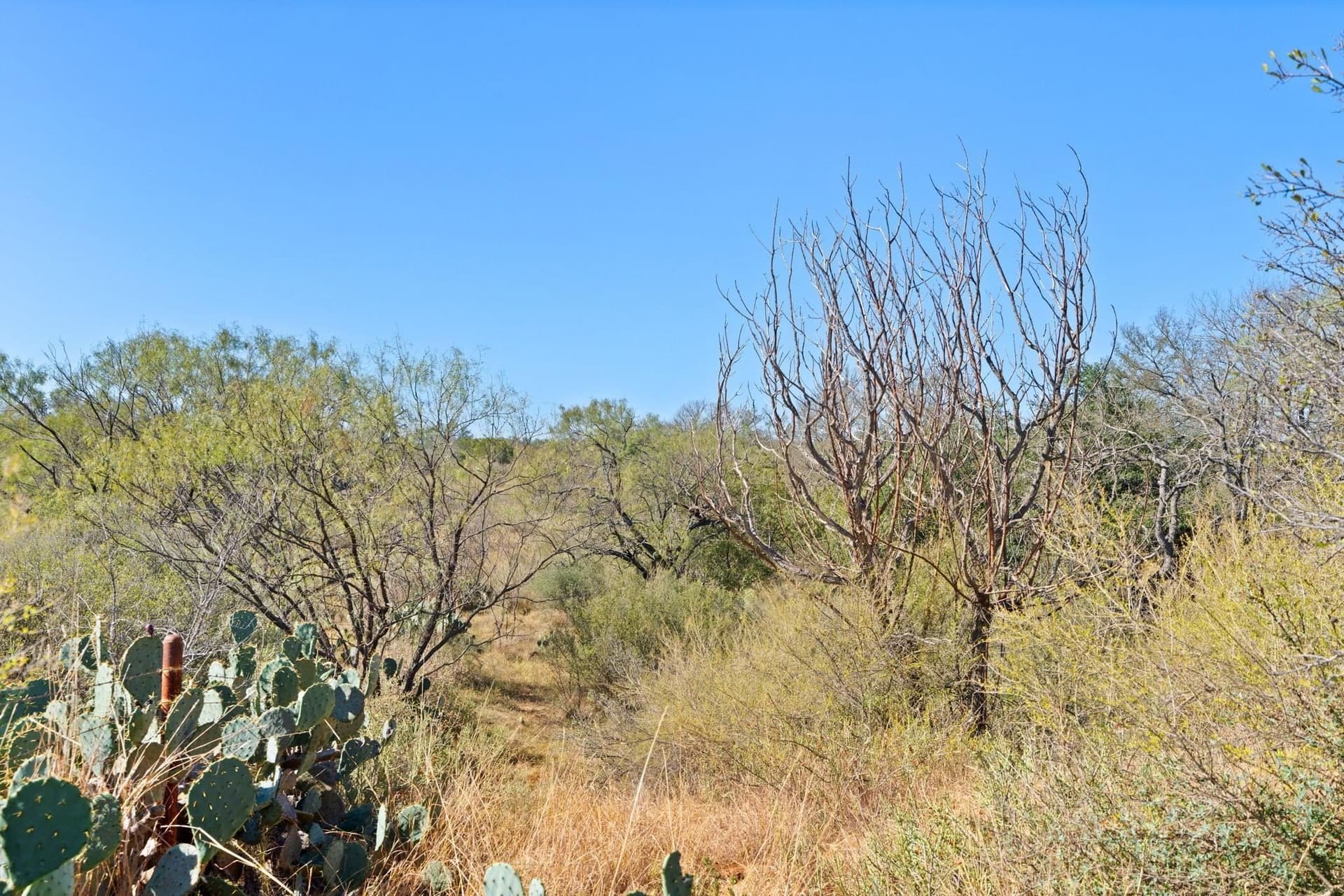 6.12 acres in Llano County - photo 15