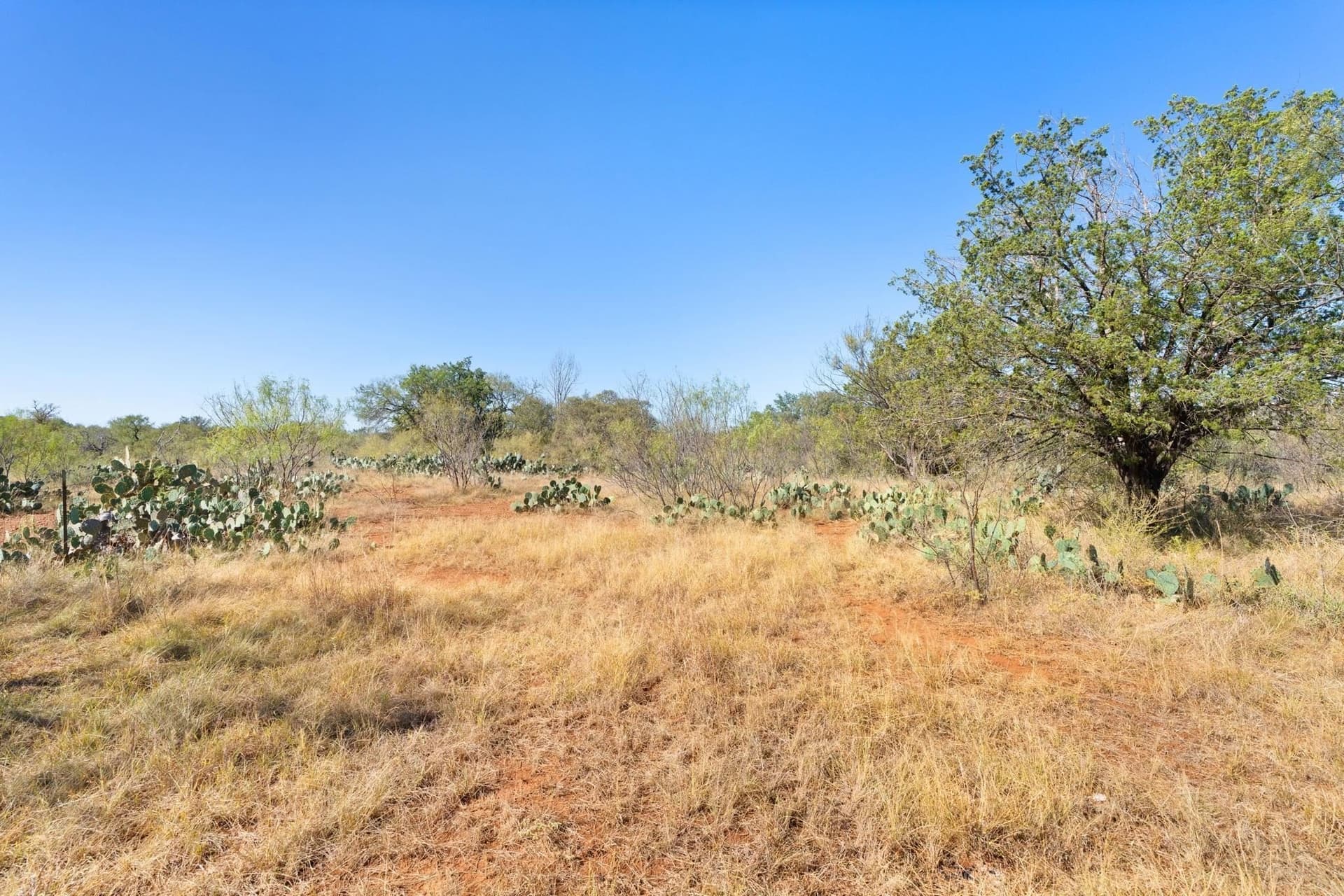 6.12 acres in Llano County - photo 13