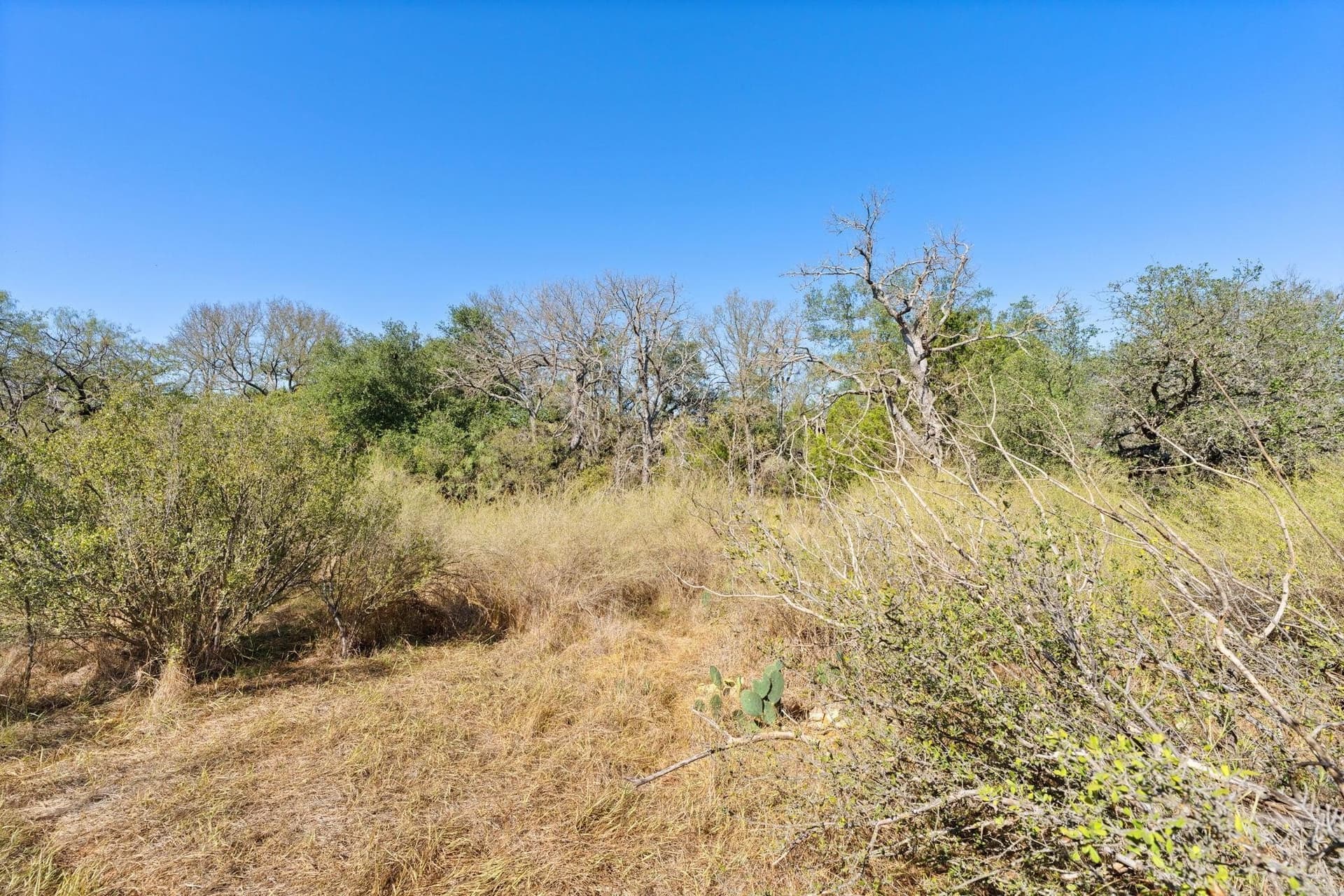 6.12 acres in Llano County - photo 16