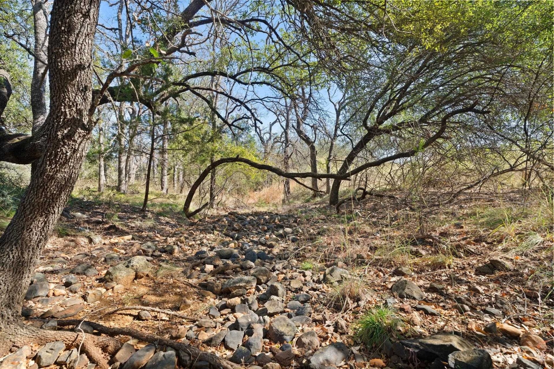 6.12 acres in Llano County - photo 19