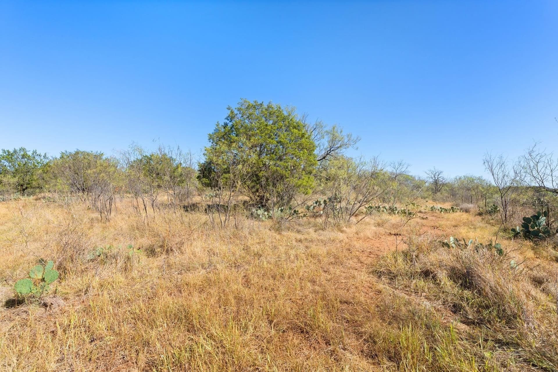 6.12 acres in Llano County - photo 14