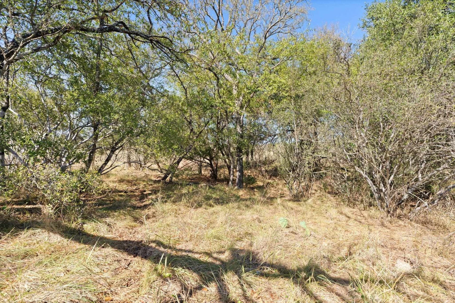 6.12 acres in Llano County - photo 18