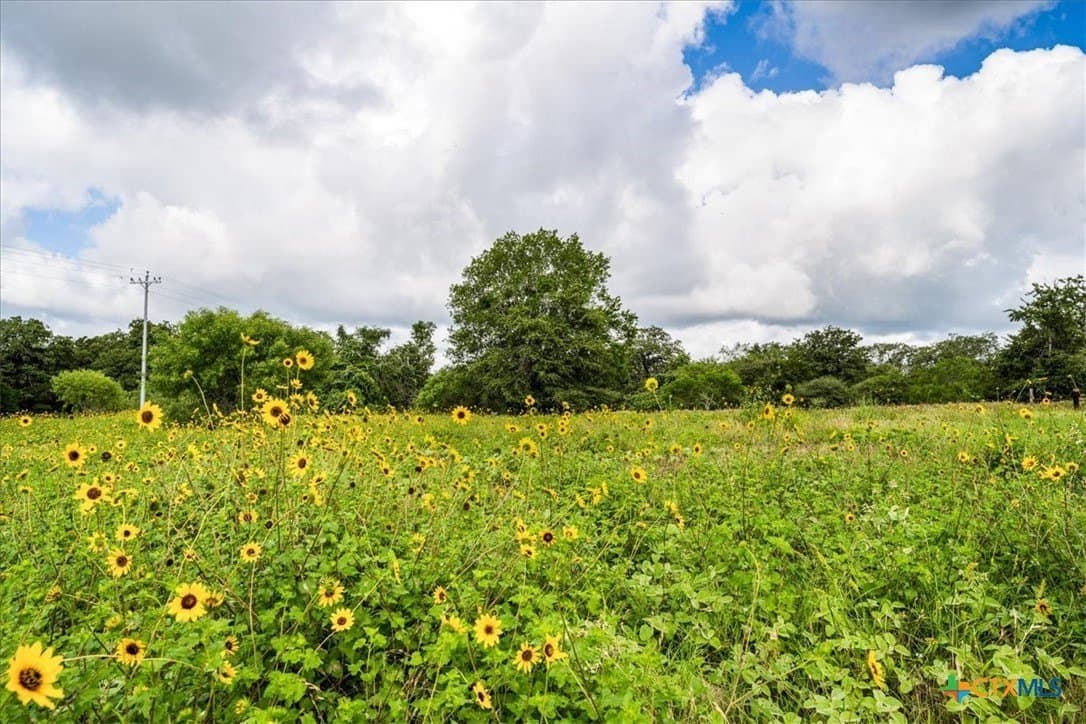 135.94 acres in Fayette County - photo 2