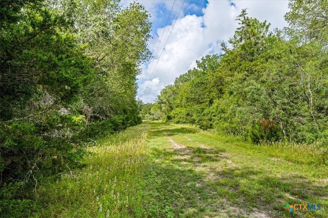 135.94 acres in Fayette County - photo 10
